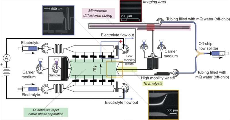 **Microfluidics: 2D fingerprints of heterogenous proteins in solution
