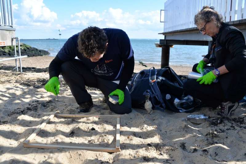 Researchers Valerie Barbe (R) and Boris Eyheraguibel, members of Tara's microplastics expedition, look for plastics in the sand 