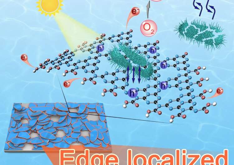 Scientists develop metal-free photocatalyst to purify pathogen-rich water in minutes
