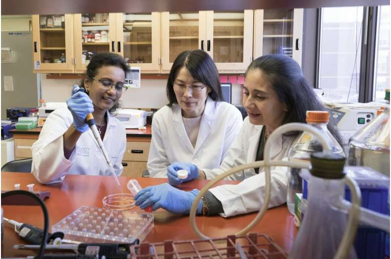 Scientists seeking to regrow kidneys make promising discovery