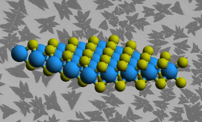 Scientists take a deep dive into the imperfect world of 2-D materials