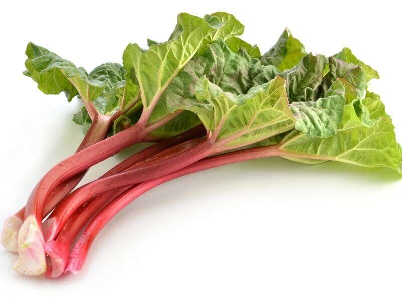 Why you should try rhubarb