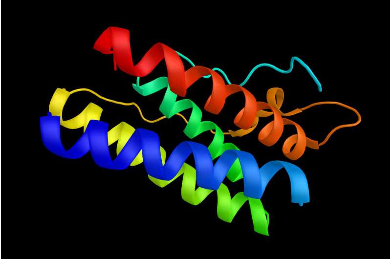 研究人员在瘦素基因中发现了新的突变