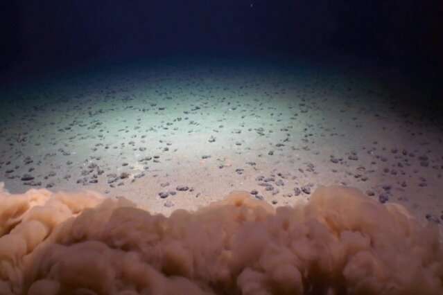 Understanding the impact of deep-sea mining