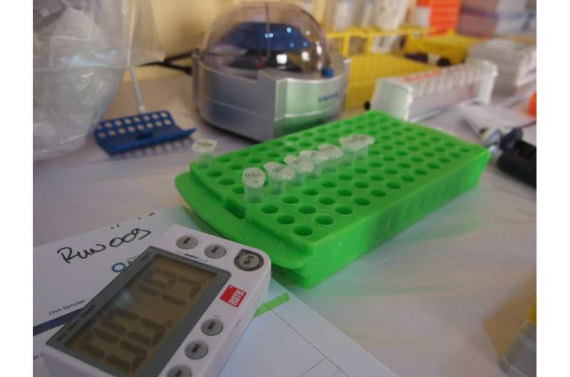 Portable DNA sequencer helps identify severity of Lassa outbreak in Nigeria