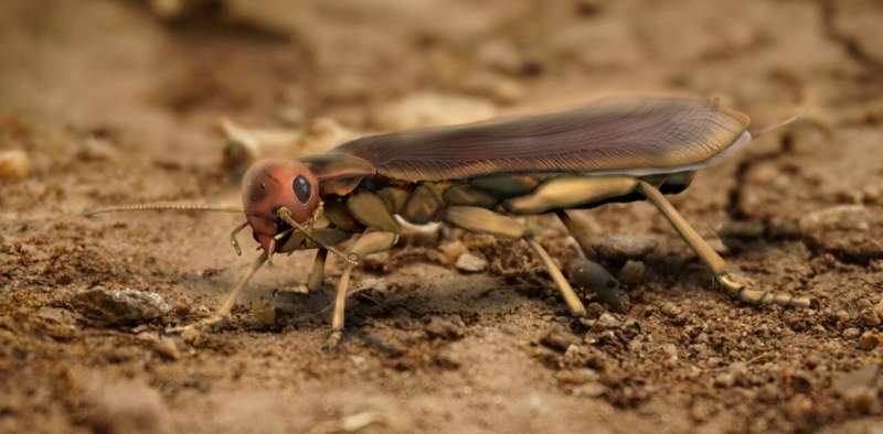**Phylogenomic analyses shows group of winged insects developed from terrestrial ancestor