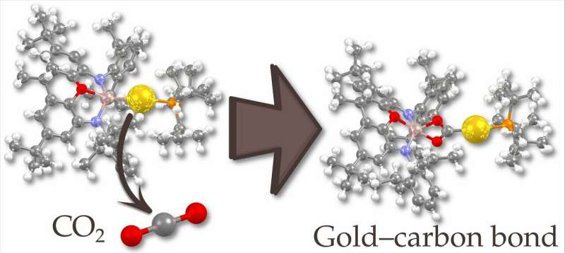 The first nucleophilic gold complex