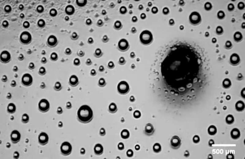 Collecting tiny droplets for biomedical analysis and beyond
