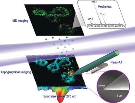 Chemical and topographical single-cell imaging at nanoscale resolution by near-field desorption mass spectrometry