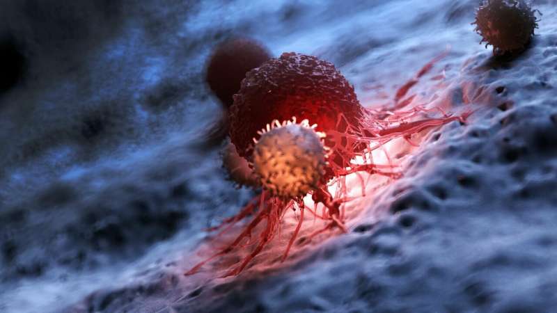 Scientists devise strategies to counteract T cell exhaustion in CAR T cancer therapies