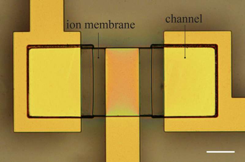 Fast, flexible ionic transistors for bioelectronic devices