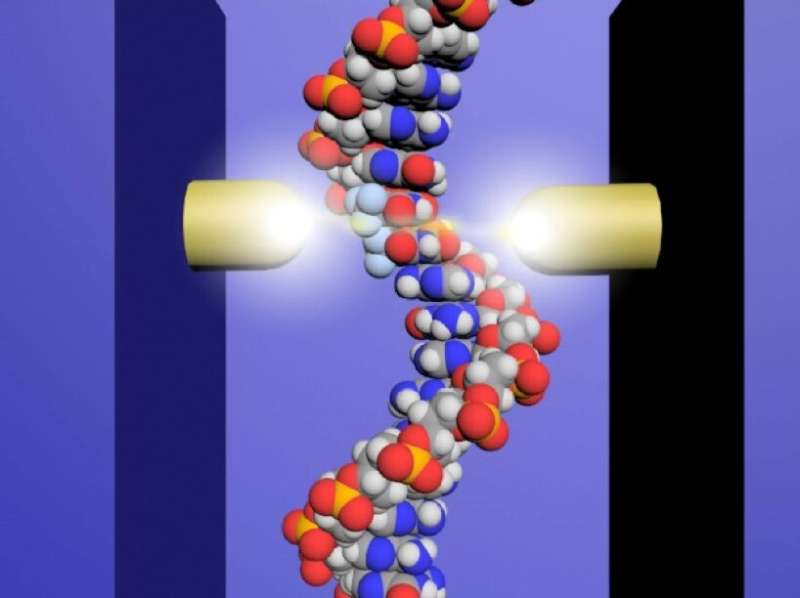 Tiny DNA Reader to Advance Development of Anticancer Drugs