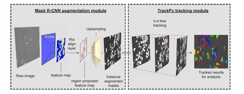 Machine learning tracks moving cells