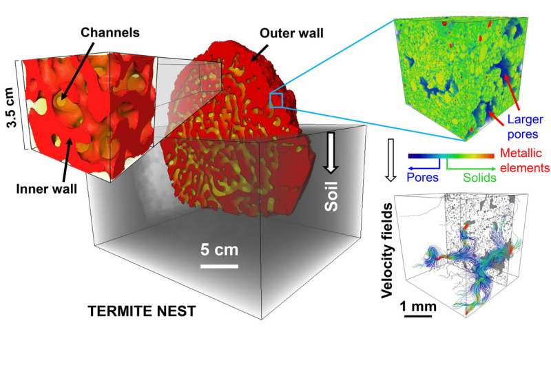 X-rays reveal termites' self-cooling, self-ventilating, self-draining skyscrapers