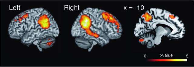 How the brain ‘mentalizes’ cooperation