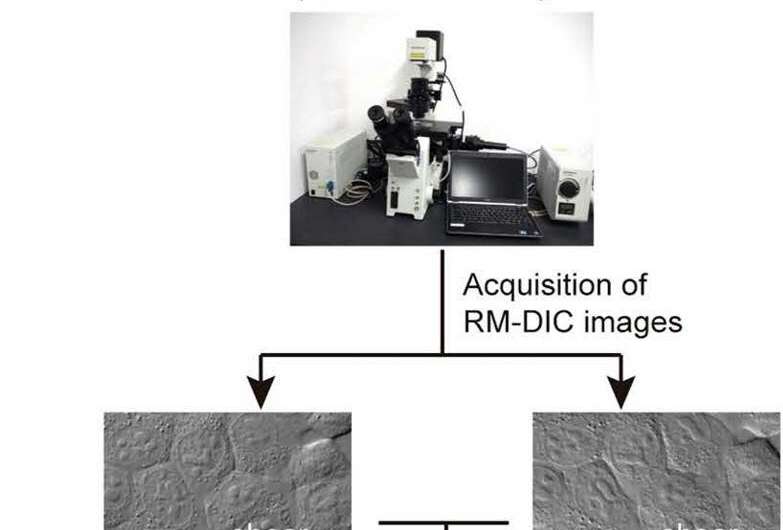 Spinning-prism microscope helps gather stem cells for regenerative medicine