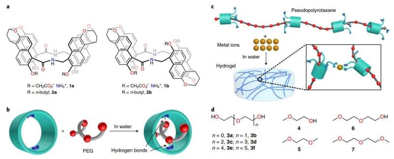 Researchers use shear forces to create self-assembled supramolecular hydrogel