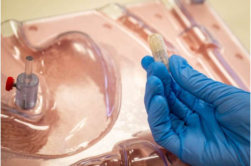 Scientists develop swallowable self-inflating capsule to help tackle obesity