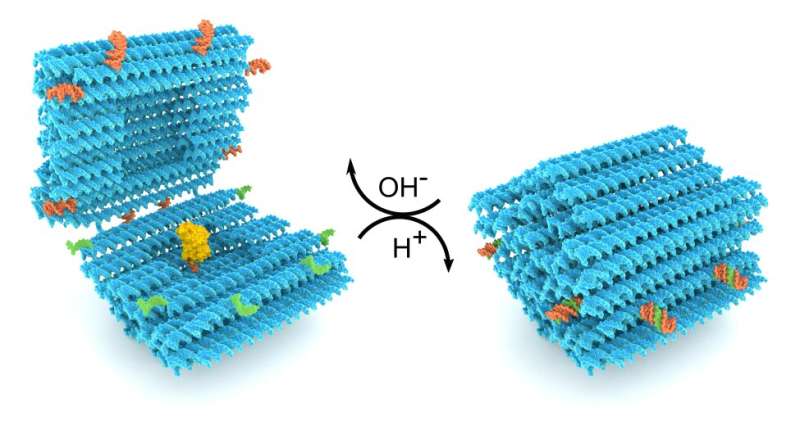 DNA folds into a smart nanocapsule for drug delivery
