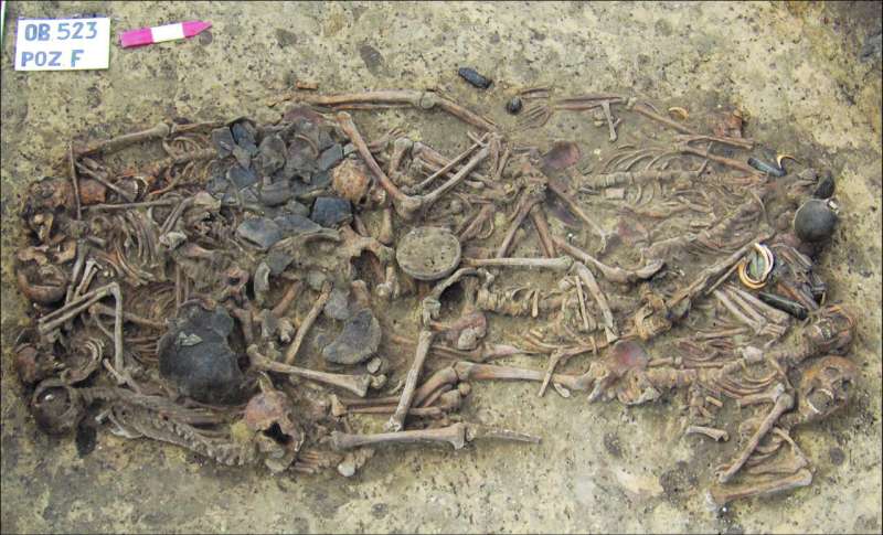 Analysis of remains in ancient gravesite gives insight into Neolithic history in Poland