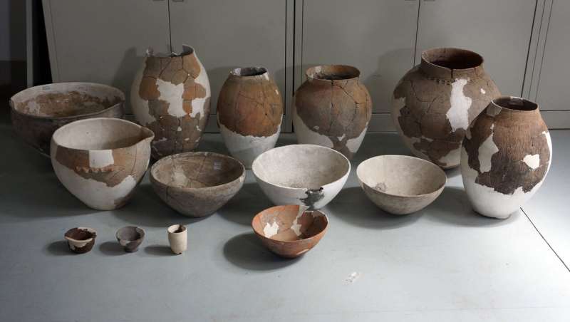 Neolithic pottery sherds from China reveal alcoholic beverage production techniques