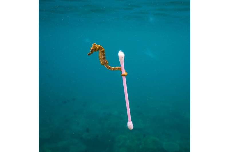 Oceans: they pollute, they pay