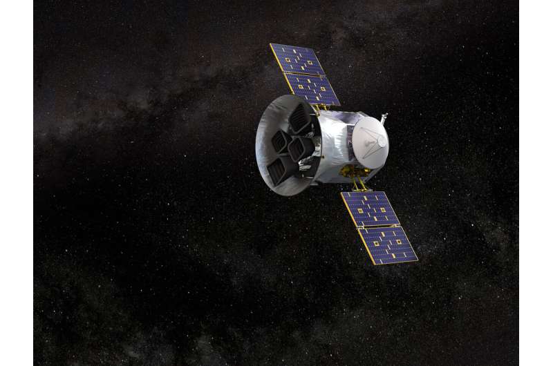 TESS first light on stellar physics