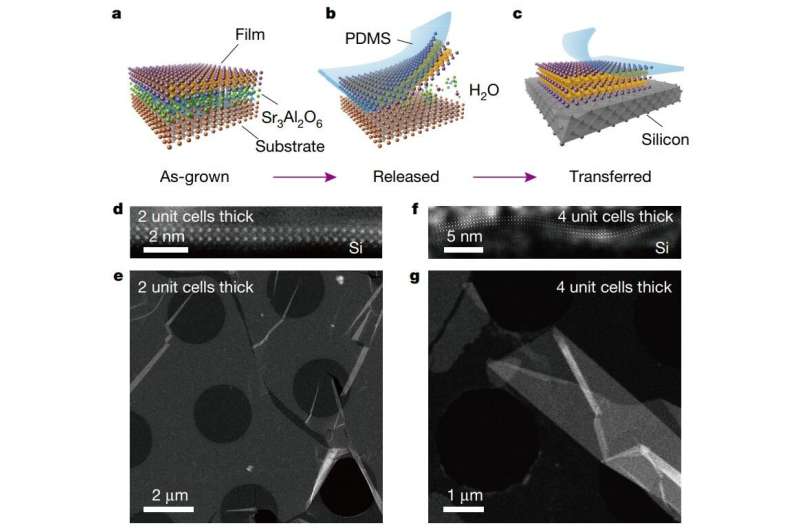Researchers find a way to produce free-standing films of perovskite oxides