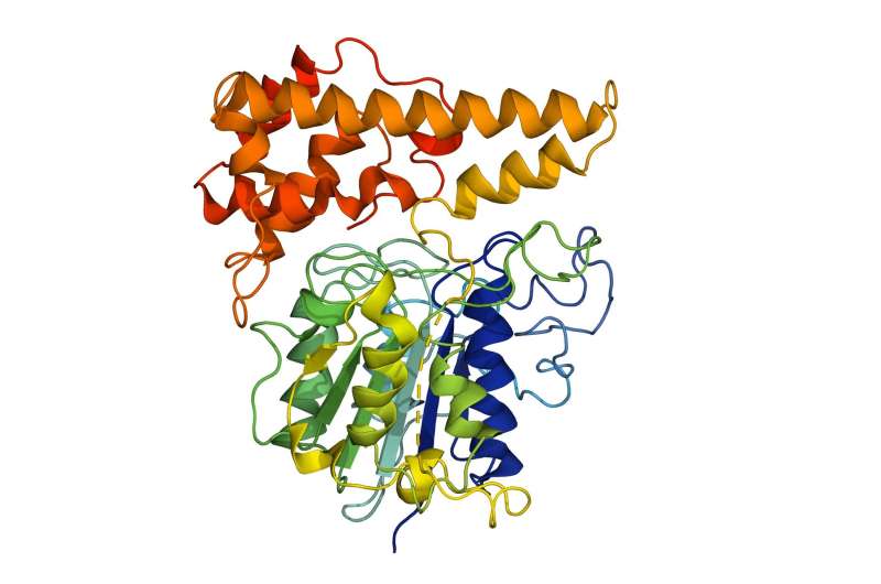 Scientists uncover binding secret behind protein ‘superglue’