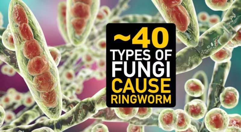 Video: What is the chemistry behind ringworm?