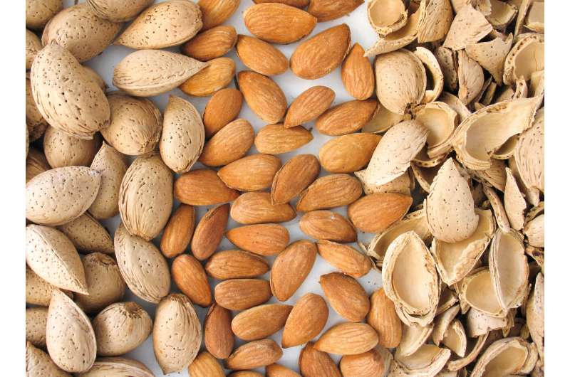 Sequencing the almond reveals how it went from bitter to sweet
