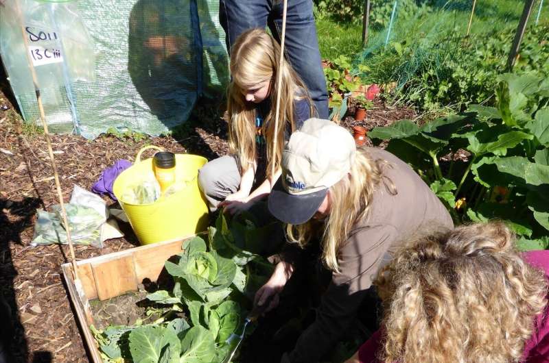 Allotment soil is safer than U.K. national guidelines suggest