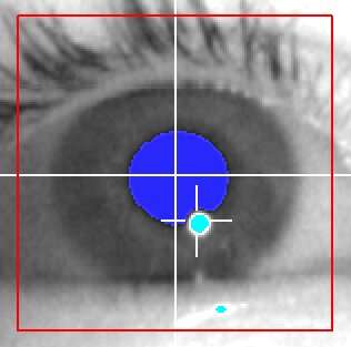 DeepEyedentification: identifying people based on micro eye movements
