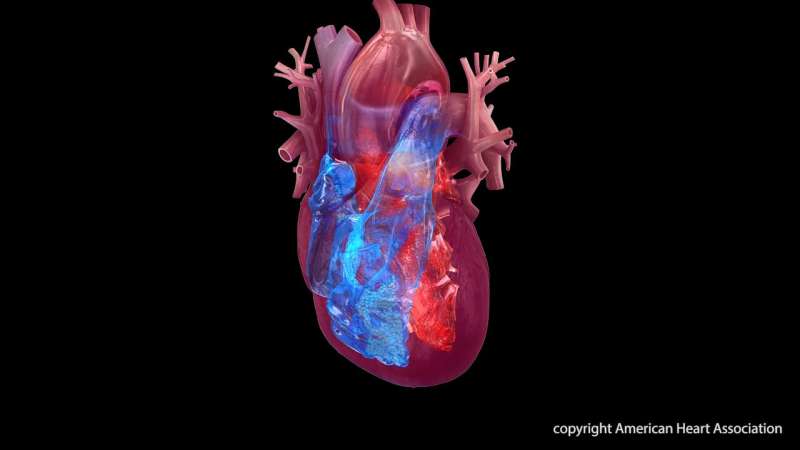 Broken heart syndrome linked with cancer