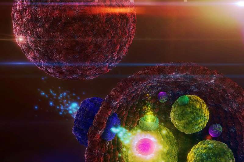 Researchers build artificial cells that sense and respond to their environment