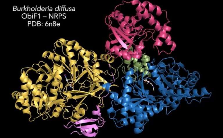First pictures of enzyme that drives new class of antibiotics