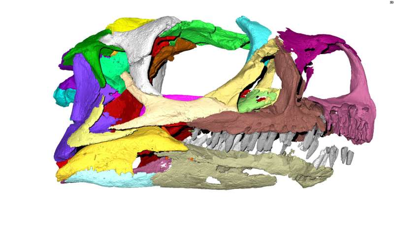 New species of early dinosaur described from South Africa
