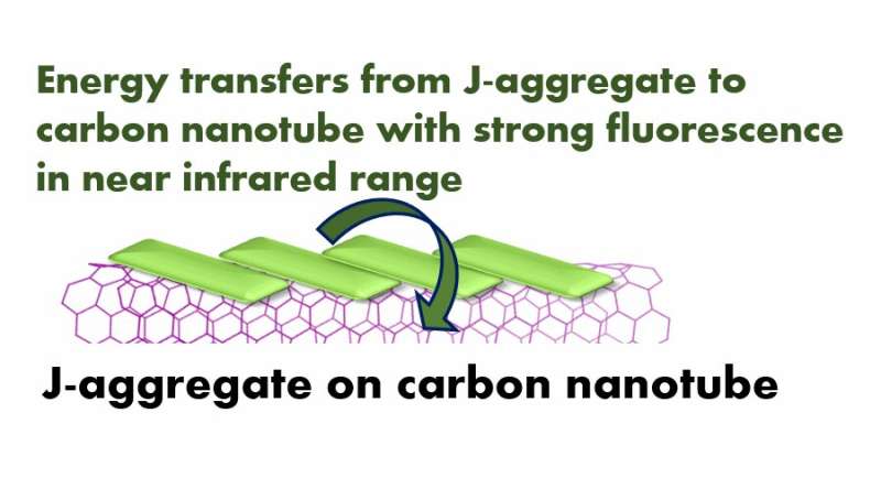 J-aggregate self-assembly on carbon nanotubes for new nanoscale devices