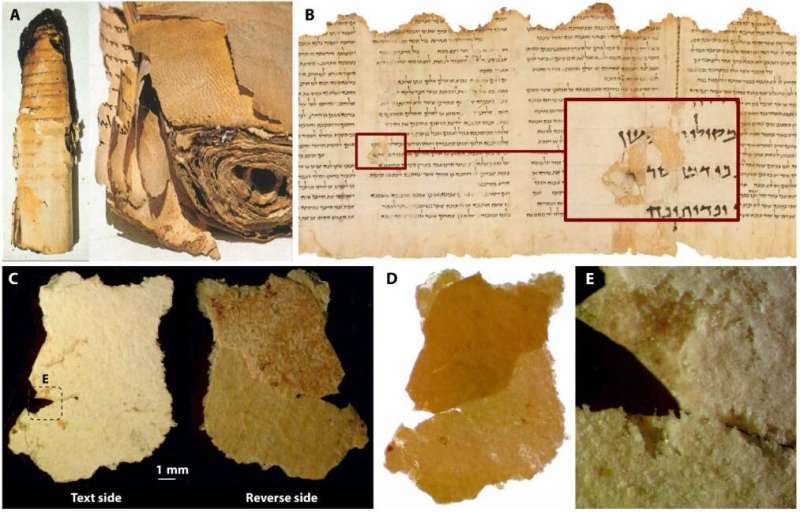 Study of Dead Sea Scroll sheds light on a lost ancient parchment-making technology