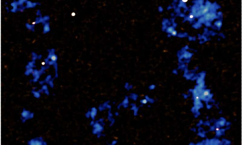 Massive filaments fuel the growth of galaxies and supermassive black holes