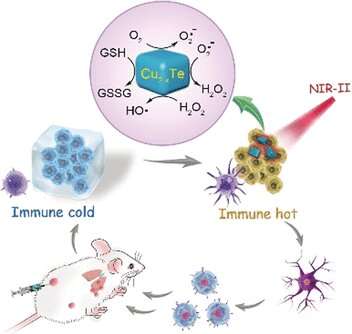 Catalytic immunotherapy for cancer: nanoparticles act as artificial enzymes