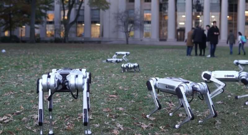 Fall madness: MIT's Mini Cheetah robots play soccer