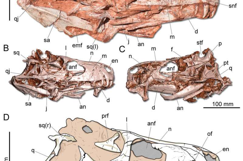 Oldest carnivorous dinosaur fossil unearthed in Brazil