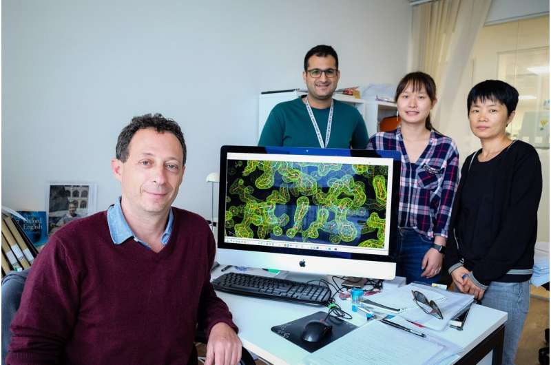 Scientists uncover structure of key pneumonia virus enzyme, suggesting a route for new antiviral treatments