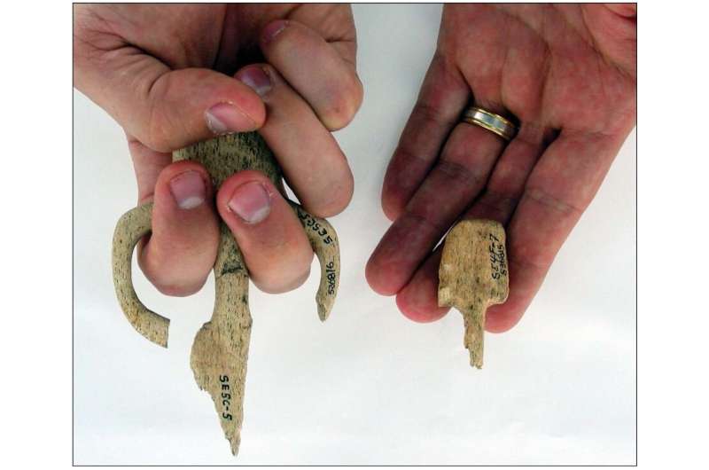 Small-scale atlatl artifacts suggest children were taught how to use them