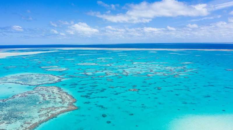 Great Barrier Reef study shows how reef copes with rapid sea-level rise