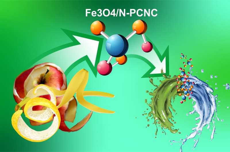 RUDN Chemists Developed Eco-Friendly Nanocomposites from Fruit and Berry Peel for Water Purification, Qualitative Analysis, and 