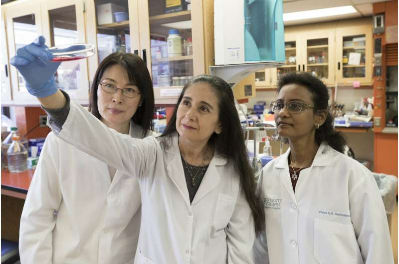 Scientists seeking to regrow kidneys make promising discovery