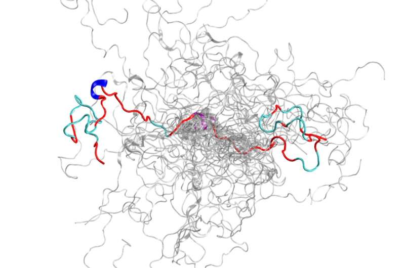 Supercomputing, neutrons unite to unravel structures of intrinsically disordered protein