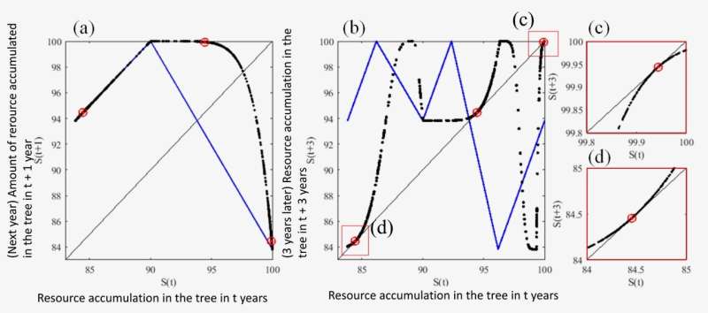 Understanding the mechanisms of seemingly chaotic synchronization in trees